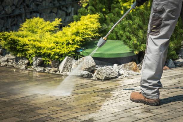 Best Gutter Cleaning and Brightening in Shenandoah Junction, WV
